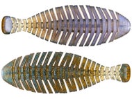 RAID Japan Hira Tailor - Image 5