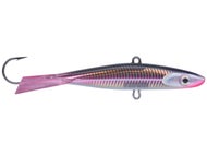 Live Smelt
