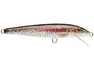 Live Rainbow Trout