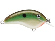 Copper Green Shad