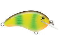 Coosa Special