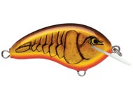 Dark Brown Crawdad