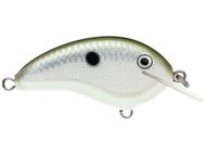 Green Gizzard Shad