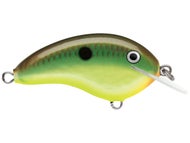 Hot Copper Green Shad