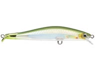 Herring