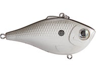 Pearl Grey Shiner