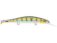 Yellow Perch