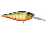 Leurre Rapala Shad Rap Elite SRE75-GDGS, Couleur Dorée, 75mm, 12g, Pour Pêche En Mer