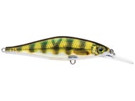 Live Perch