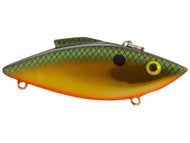 Tennessee Shad Gold