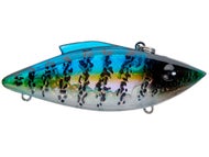 Black Crappie