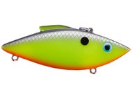 Charteuese Shiner