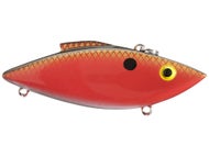 Red Shad