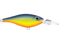 Rapala - X-Rap Peto Visaas - Vismateriaal met zachte staart - Zoetwatervisaas - Zwemdiepte 0,5-1 m - Maat 14 cm/39 g - Gemaakt in Estland - Green Motoroil UV