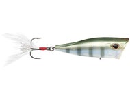 Bluegill