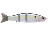 Threadfin Shad