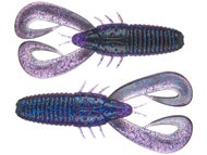 Darkwater Bug