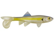 Chartreuse Shad