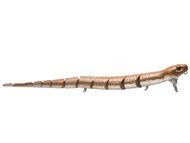 Brown Chrome Snake