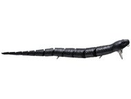 Black Snake