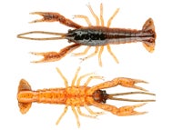 Leurre Souple Savage Gear 4D Crawfish 4 Pouces - Écrevisse - Lot De 6