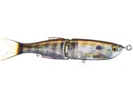 Ghost Gill