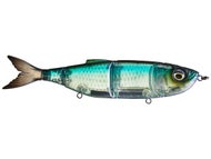 Ghost Minnow