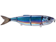 Sexy Baitfish