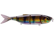 Yellow Perch
