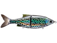 Black Crappie