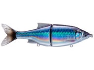 Sexy Baitfish