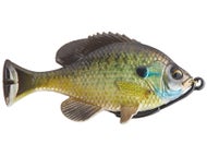 Bream