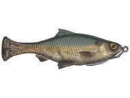 Green Back