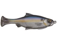 Sexy Shad