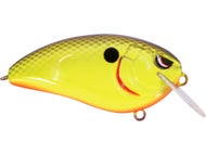 Chartreuse Black Back
