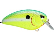Chartreuse Nasty