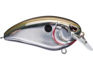 Chrome Olive