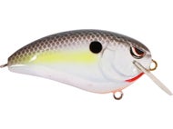 Nasty Shad