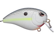 Nasty Shad
