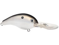 Gizzard Shad