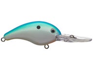 Citrus Shad