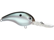 Green Gizzard Shad