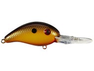 Baby Carp