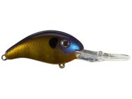 Blue Gill
