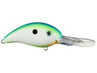Citrus Shad
