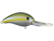 Sexy Blue Back Herring
