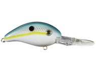 Sexy Shad