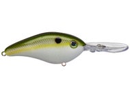 Olive Shad