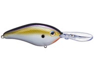 TN Shad 2.0