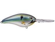 Reel Shad
